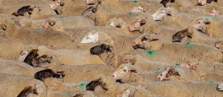 5 pueblos menos conocidos que visitar en la Sierra Norte de Madrid