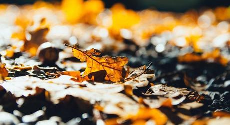 5 pueblos menos conocidos que visitar en la Sierra Norte de Madrid