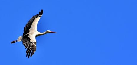 5 pueblos menos conocidos que visitar en la Sierra Norte de Madrid