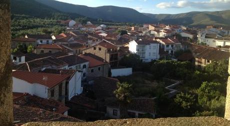 Los bosques del mundo han sufrido la pérdida del incendio de Acebo, Sierra de Gata