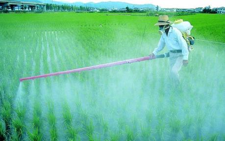 El reto de la economía circular: prosperar sin agotar el Planeta El reto de la economía circular: prosperar sin agotar el Planeta