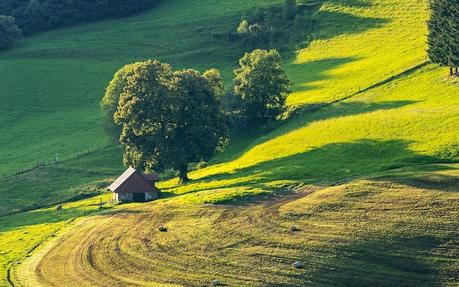 La agricultura del carbono reúne un conjunto de prácticas agrícolas diseñadas para capturar y almacenar carbono en el suelo y la biomasa