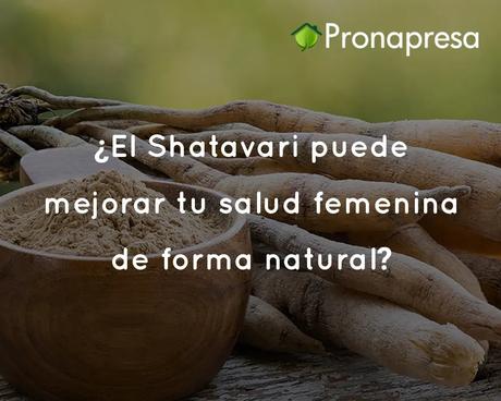 ¿El Shatavari puede mejorar tu salud femenina de forma natural? ¿El Shatavari puede mejorar tu salud femenina de forma natural?
