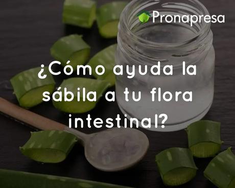 ¿Cómo ayuda la sábila a tu flora intestinal?