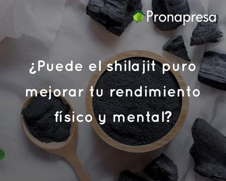 ¿El hongo Melena de León mejora tu memoria?