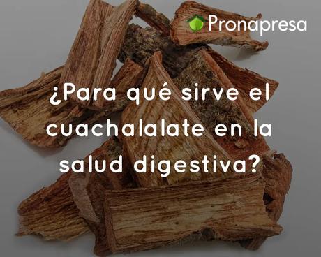 ¿Para qué sirve el cuachalalate en la salud digestiva?