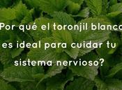 ¿Por toronjil blanco ideal para cuidar sistema nervioso?