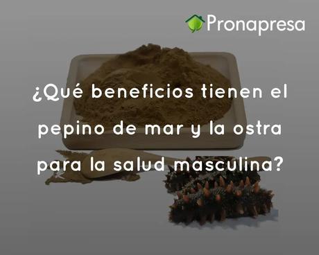 ¿Qué beneficios tienen el pepino de mar y la ostra para la salud masculina?
