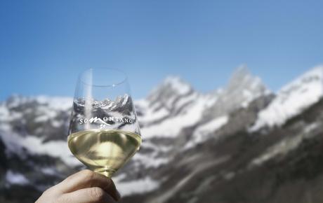 LA DOP Somontano, en FENAVIN 2025