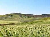 incendios asolan España: Previsión ligeramente optimista para próximos días