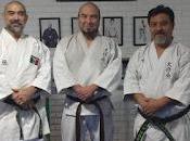 Karate Deportivo Tradicional: Diferencias Beneficios