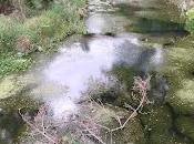 Agenda 2030 puede salvar humanidad