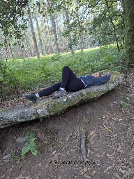 desde Lugo Camino Primitivo