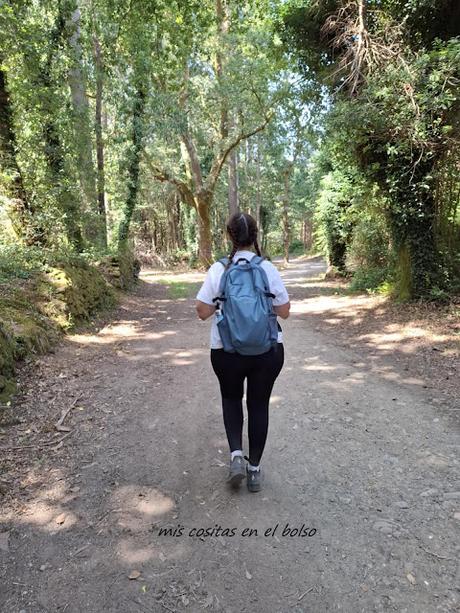 Camino Primitivo Camino de Santiago