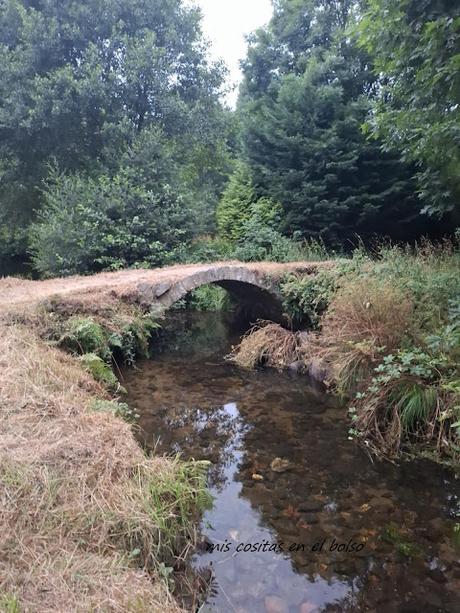 Camino Primitivo Camino de Santiago