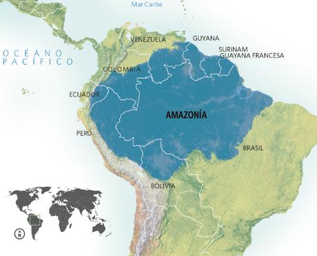 Amazonía Vital para nuestro planeta y toda la humanidad