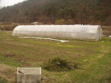 233.-mar-apr 029.jpg