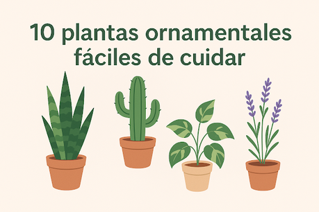 10 plantas ornamentales fáciles de cuidar 10 plantas ornamentales fáciles de cuidar