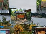 Collages viajes Patagonia, Argentina.