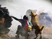 cuatro años publicación original: símbolo, estallido exilio