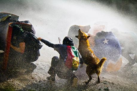 A cuatro años de la publicación original: el símbolo, el estallido y el exilio