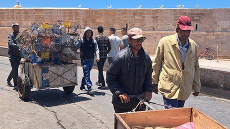 MARRUECOS : LA SUAVE BRISA DE ESSAOUIRA MARRUECOS : LA SUAVE BRISA DE ESSAOUIRA