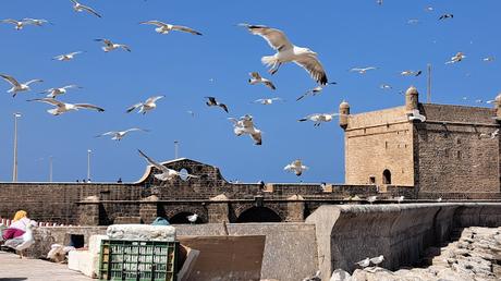 MARRUECOS : LA SUAVE BRISA DE ESSAOUIRA MARRUECOS : LA SUAVE BRISA DE ESSAOUIRA