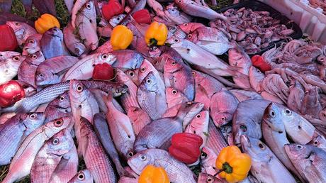 MARRUECOS : LA SUAVE BRISA DE ESSAOUIRA MARRUECOS : LA SUAVE BRISA DE ESSAOUIRA