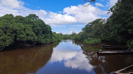 BOLIVIA : UNA INCURSIÓN EN LA AMAZONIA BOLIVIANA BOLIVIA : UNA INCURSIÓN EN LA AMAZONIA BOLIVIANA