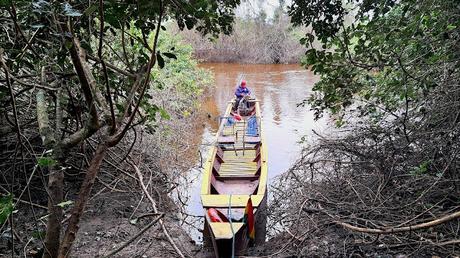 BOLIVIA : UNA INCURSIÓN EN LA AMAZONIA BOLIVIANA BOLIVIA : UNA INCURSIÓN EN LA AMAZONIA BOLIVIANA
