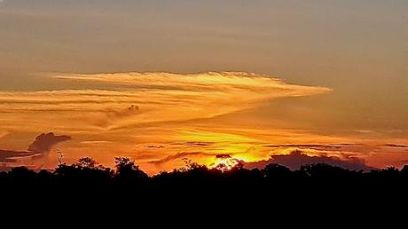 BOLIVIA : UNA INCURSIÓN EN LA AMAZONIA BOLIVIANA BOLIVIA : UNA INCURSIÓN EN LA AMAZONIA BOLIVIANA