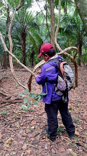 BOLIVIA : UNA INCURSIÓN EN LA AMAZONIA BOLIVIANA BOLIVIA : UNA INCURSIÓN EN LA AMAZONIA BOLIVIANA