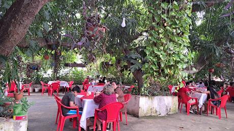 BOLIVIA : UNA INCURSIÓN EN LA AMAZONIA BOLIVIANA BOLIVIA : UNA INCURSIÓN EN LA AMAZONIA BOLIVIANA