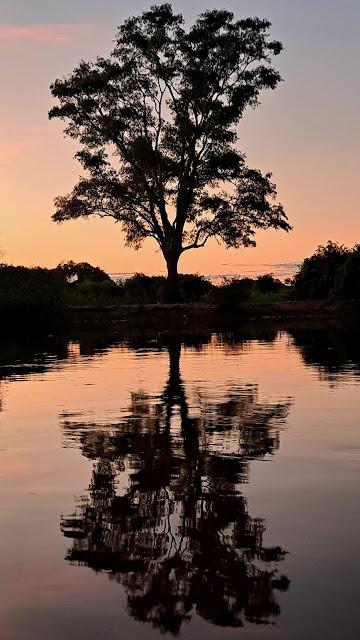 BOLIVIA : UNA INCURSIÓN EN LA AMAZONIA BOLIVIANA BOLIVIA : UNA INCURSIÓN EN LA AMAZONIA BOLIVIANA