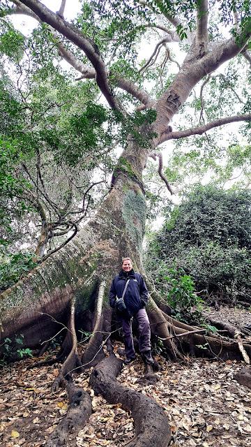 BOLIVIA : UNA INCURSIÓN EN LA AMAZONIA BOLIVIANA BOLIVIA : UNA INCURSIÓN EN LA AMAZONIA BOLIVIANA