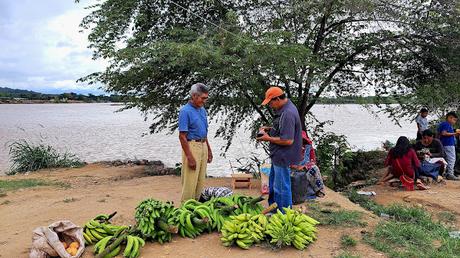 BOLIVIA : UNA INCURSIÓN EN LA AMAZONIA BOLIVIANA BOLIVIA : UNA INCURSIÓN EN LA AMAZONIA BOLIVIANA