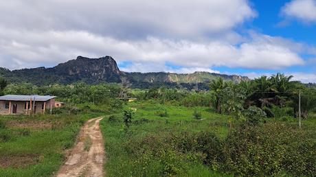 BOLIVIA : UNA INCURSIÓN EN LA AMAZONIA BOLIVIANA BOLIVIA : UNA INCURSIÓN EN LA AMAZONIA BOLIVIANA