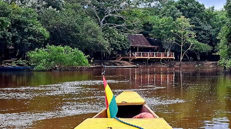 BOLIVIA : UNA INCURSIÓN EN LA AMAZONIA BOLIVIANA BOLIVIA : UNA INCURSIÓN EN LA AMAZONIA BOLIVIANA
