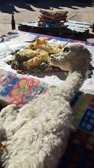 BOLIVIA : CELEBRACIÓN DEL AÑO NUEVO AYMARA EN TIWANAKU BOLIVIA : CELEBRACIÓN DEL AÑO NUEVO AYMARA EN TIWANAKU