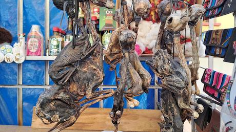 BOLIVIA: LA PAZ, LA CIUDAD SUMERGIDA EN UNA CALDERA BOLIVIA: LA PAZ, LA CIUDAD SUMERGIDA EN UNA CALDERA