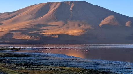 BOLIVIA : EL P. N. EDUARDO AVAROA Y EL VOLCÁN SOL DE MAÑANA BOLIVIA : EL P. N. EDUARDO AVAROA Y EL VOLCÁN SOL DE MAÑANA