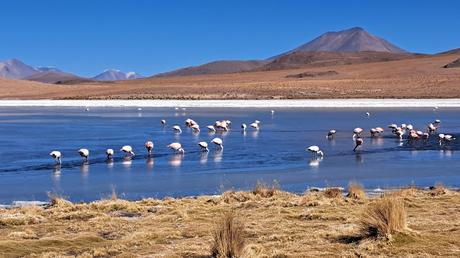 BOLIVIA : EL P. N. EDUARDO AVAROA Y EL VOLCÁN SOL DE MAÑANA BOLIVIA : EL P. N. EDUARDO AVAROA Y EL VOLCÁN SOL DE MAÑANA