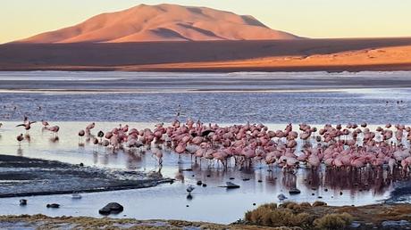 BOLIVIA : EL P. N. EDUARDO AVAROA Y EL VOLCÁN SOL DE MAÑANA BOLIVIA : EL P. N. EDUARDO AVAROA Y EL VOLCÁN SOL DE MAÑANA