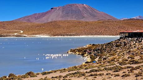 BOLIVIA : EL P. N. EDUARDO AVAROA Y EL VOLCÁN SOL DE MAÑANA BOLIVIA : EL P. N. EDUARDO AVAROA Y EL VOLCÁN SOL DE MAÑANA