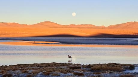 BOLIVIA : EL P. N. EDUARDO AVAROA Y EL VOLCÁN SOL DE MAÑANA BOLIVIA : EL P. N. EDUARDO AVAROA Y EL VOLCÁN SOL DE MAÑANA