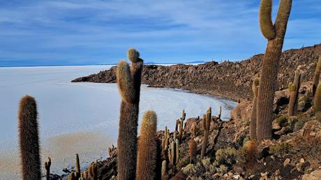 BOLIVIA : EL SALAR DE UYUNI BOLIVIA : EL SALAR DE UYUNI