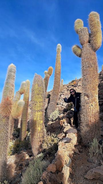 BOLIVIA : EL SALAR DE UYUNI BOLIVIA : EL SALAR DE UYUNI