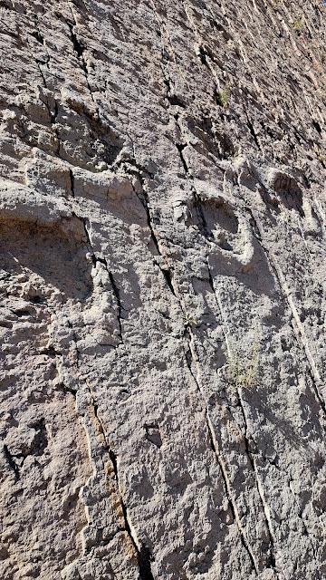 BOLIVIA : EL PARQUE CRETÁCICO CAL ORCKO