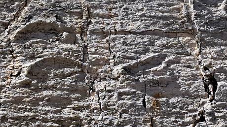 BOLIVIA : EL PARQUE CRETÁCICO CAL ORCKO