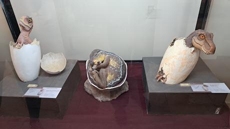 BOLIVIA : EL PARQUE CRETÁCICO CAL ORCKO